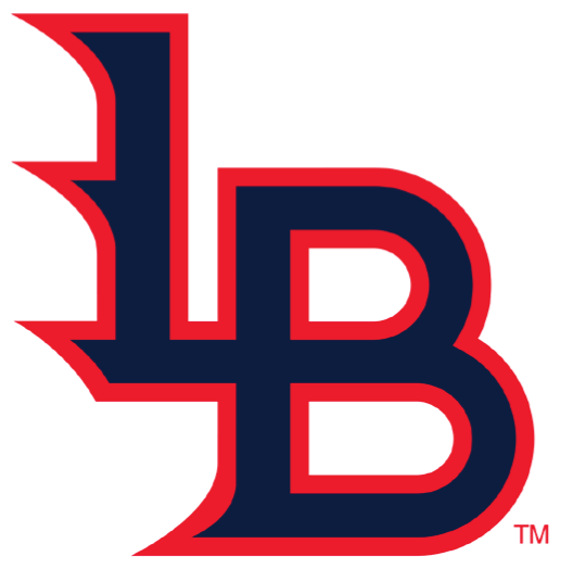 Louisville Bats 2016-Pres Alternate Logo v3 iron on heat transfer